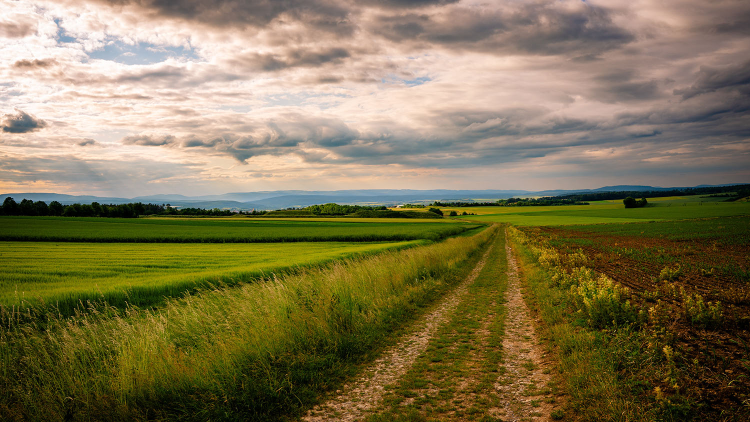 Wanderungen im Itzgrund